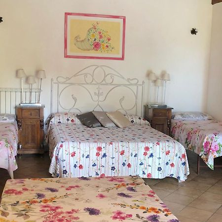 Casale Fedele Family Relax B&B Vicino Al Borgo Ronciglione (Viterbo) Exterior foto